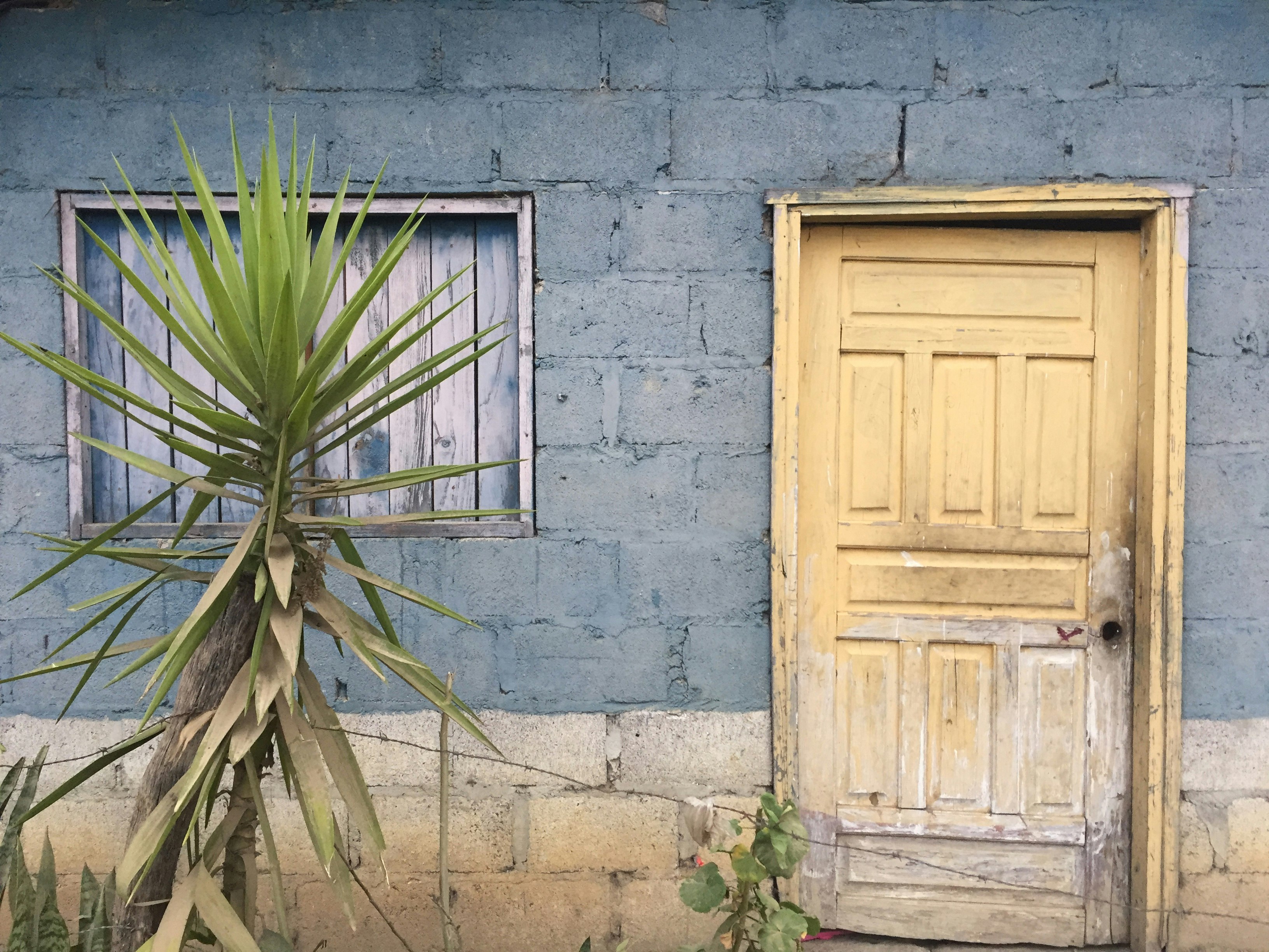 beige wooden doors is close along with a close window